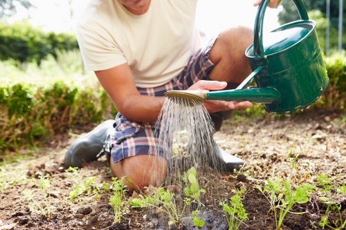 Free quote discussion for local tree surgery services