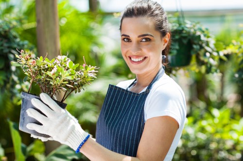 Recycling and sustainability in professional tree surgery