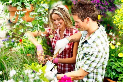 Trusted payment methods for Sevenkings tree surgery