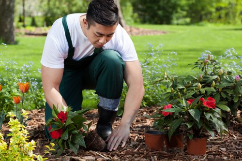 Careful hedge shaping and tidying for a Sevenkings home