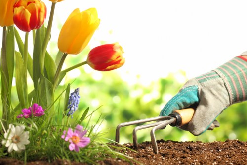 Supplier audit process for ethical labour standards in arboriculture