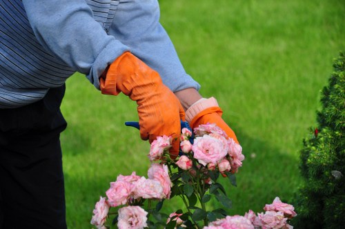 Professional tree care for a home and boundary trees in Sevenkings
