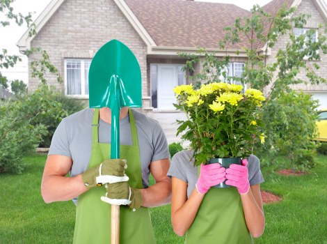 Customer complaint process for tree care work